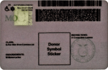 Expert Advice: How to Spot Fake IDs and Stay Compliant