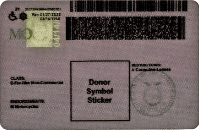 Expert Advice: How to Spot Fake IDs and Stay Compliant