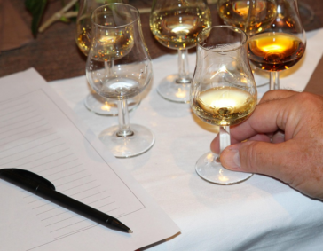 Four different glasses of alcoholic beverages, ranging from light to dark spirits/beer